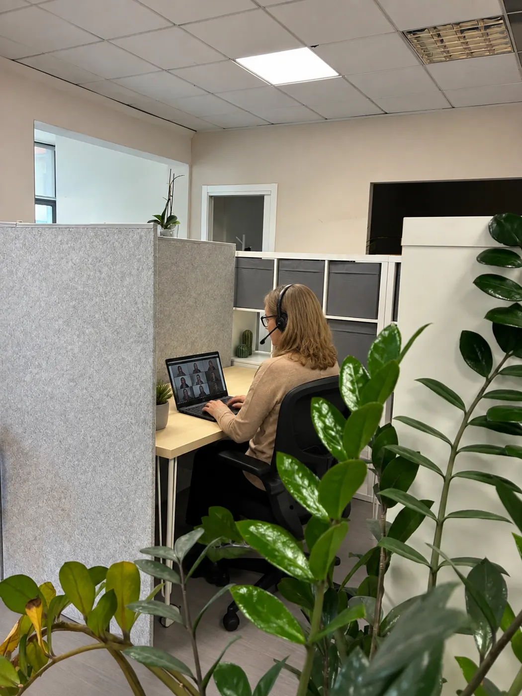 Coworker in videochiamata